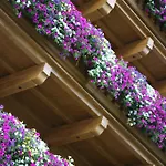 Alpenhotel Tirolerhof 4* Fulpmes