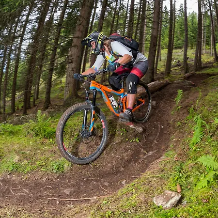 Hotel Alpenhotel Tirolerhof 4*