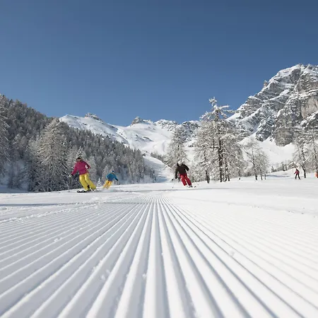 Alpenhotel Tirolerhof 플메스