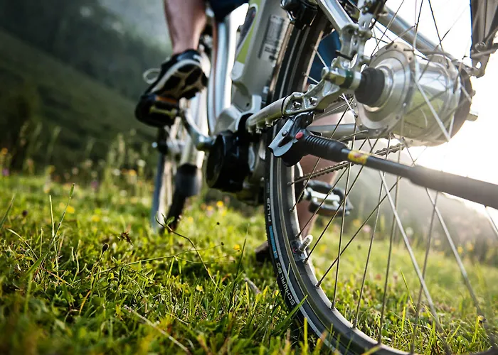 Ξενοδοχείο Alpenhotel Tirolerhof Fulpmes