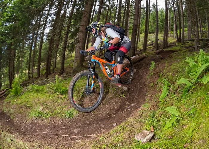 Ξενοδοχείο Alpenhotel Tirolerhof 4*