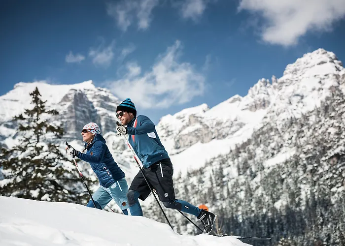 Alpenhotel Tirolerhof Ξενοδοχείο 4*