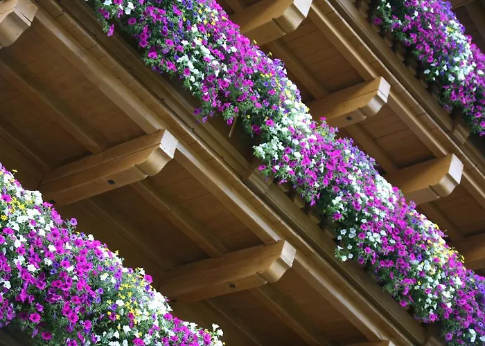 Alpenhotel Tirolerhof 4* Fulpmes