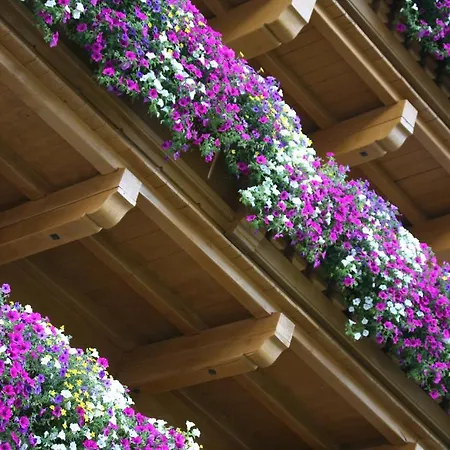 Alpenhotel Tirolerhof 4* Fulpmes