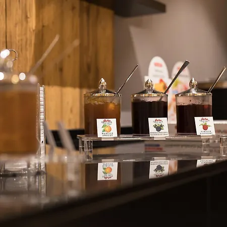 ホテル アルペンホテル チレルホフ 4*